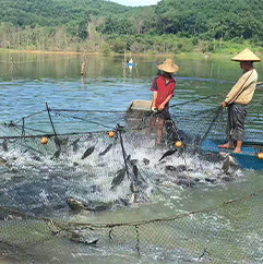 關(guān)于我們（QUALIFICATION）02